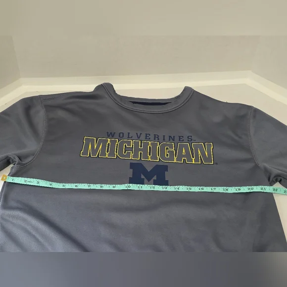 Champion Wolverines Michigan Gray Crewneck Sweater - Picture 5 of 6